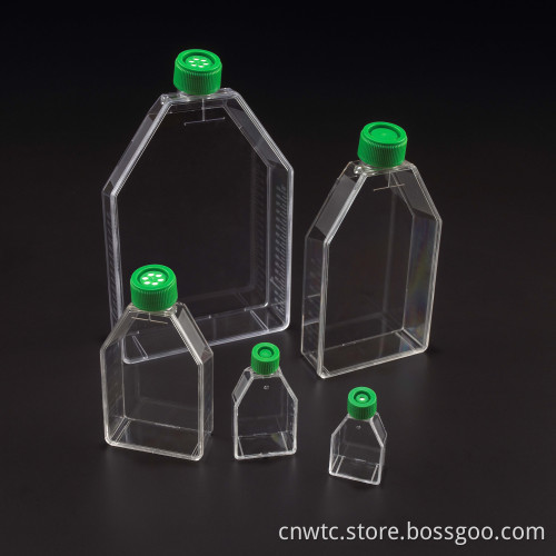 Disposable Sterilized Tissue Culture Treated Flask with Vented Cap - 25cm²